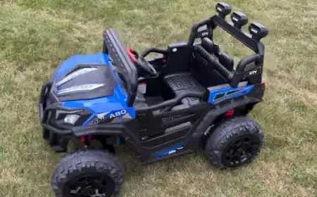 What are the Types of 24 Volt Battery Powered Ride Toys